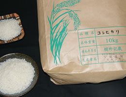 コシヒカリ