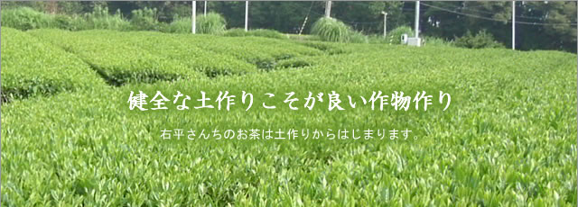 土作りこそが良い作物作り