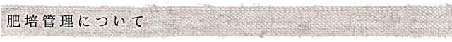 肥培管理について